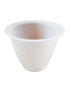 Osłonka Mała Fatimka 2